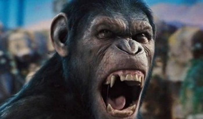 Apes Revolution ancora in testa al box office Usa