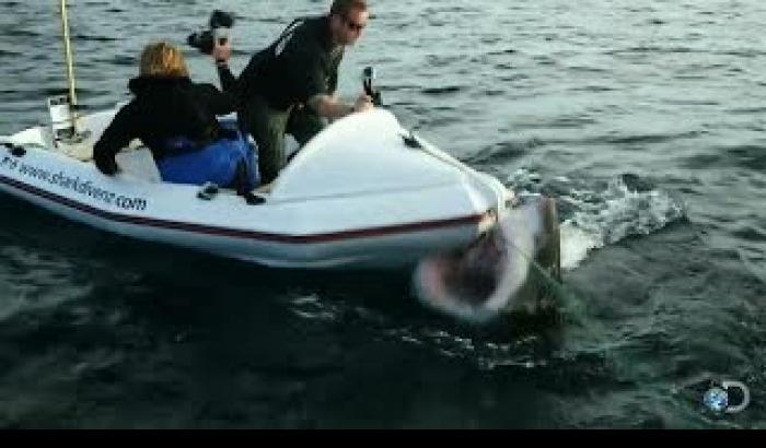 Giravano un documentario, attaccati da uno squalo