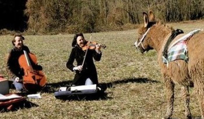 La via degli asini: festival itinerante che porta spettacoli nei paesini