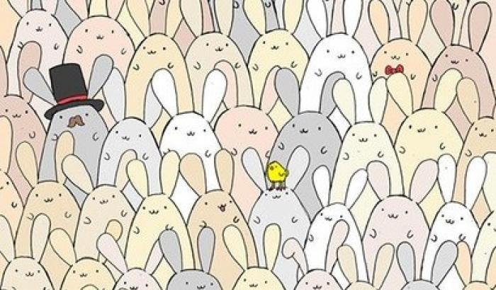 Riesci trovare l'uovo tra i conigli? Il rompicapo di Pasqua