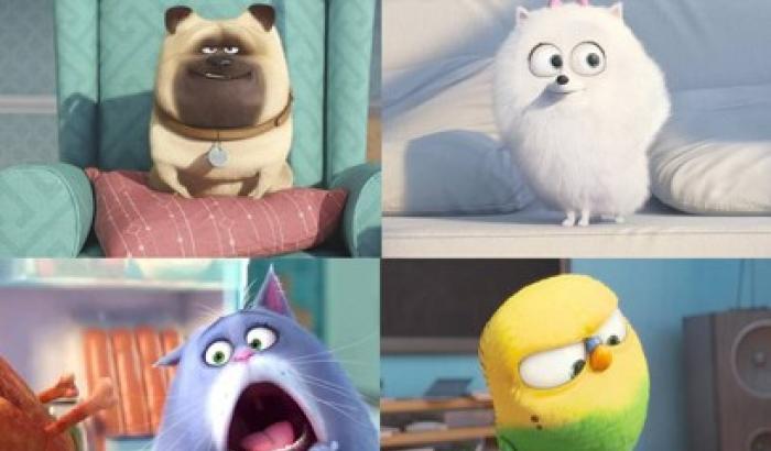 Al box office Usa vince Pets