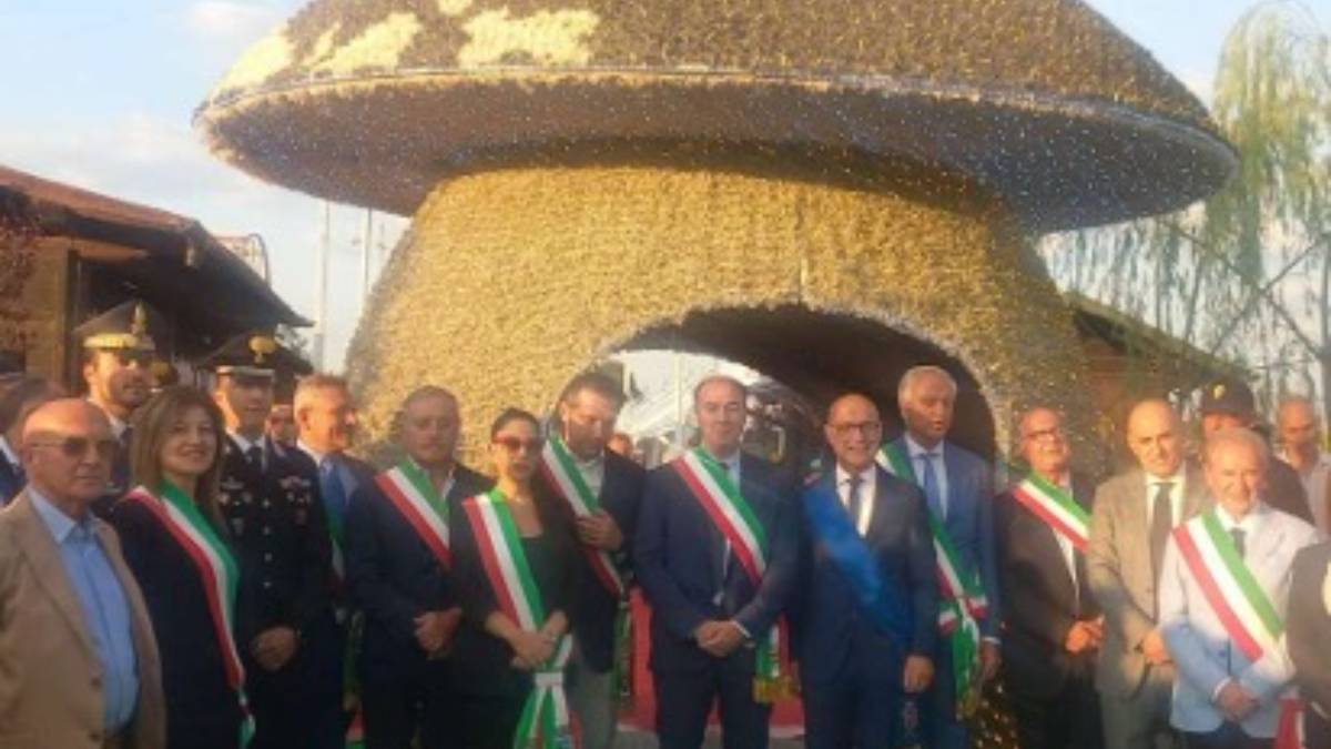 Lollobrigida Lollobrigida, i funghi e  il ministro dei  miracoli amministrativi