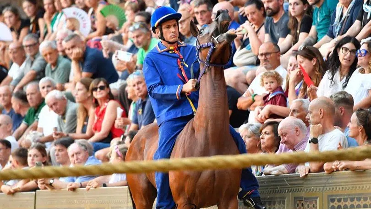 Il Nicchio trionfa nel Palio dell’Assunta, per Tittia è la tredicesima vittoria